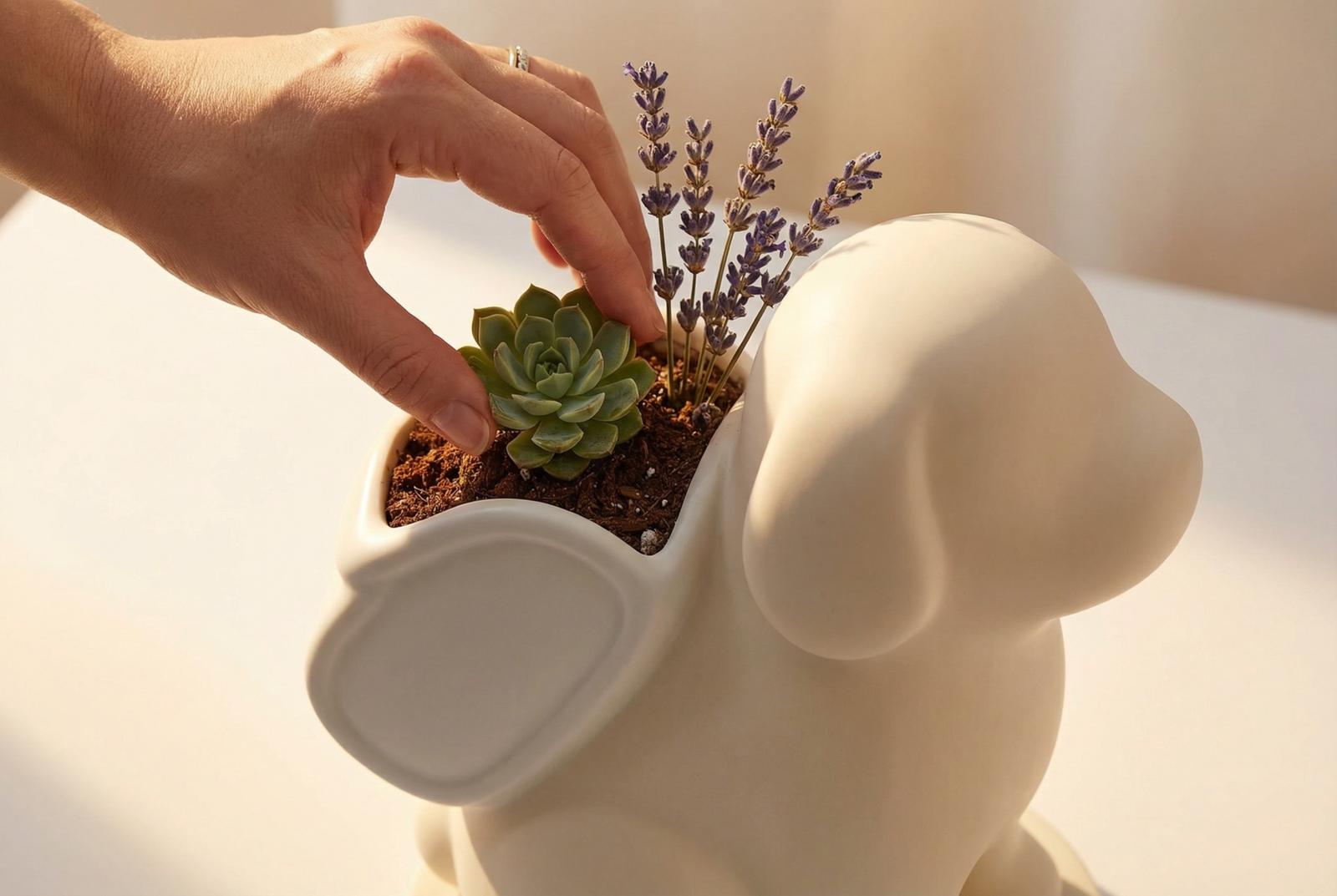 White ceramic memorial urn with succulents growing from the top, held gently by hands